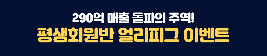 2017마지막! 초특급 베스트셀러 한정 판매